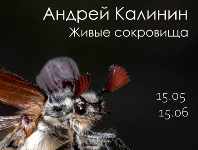Рязанцев приглашают на выставку фотографа-анималиста